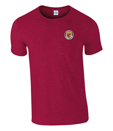 Softstyle™ adult ringspun t-shirt